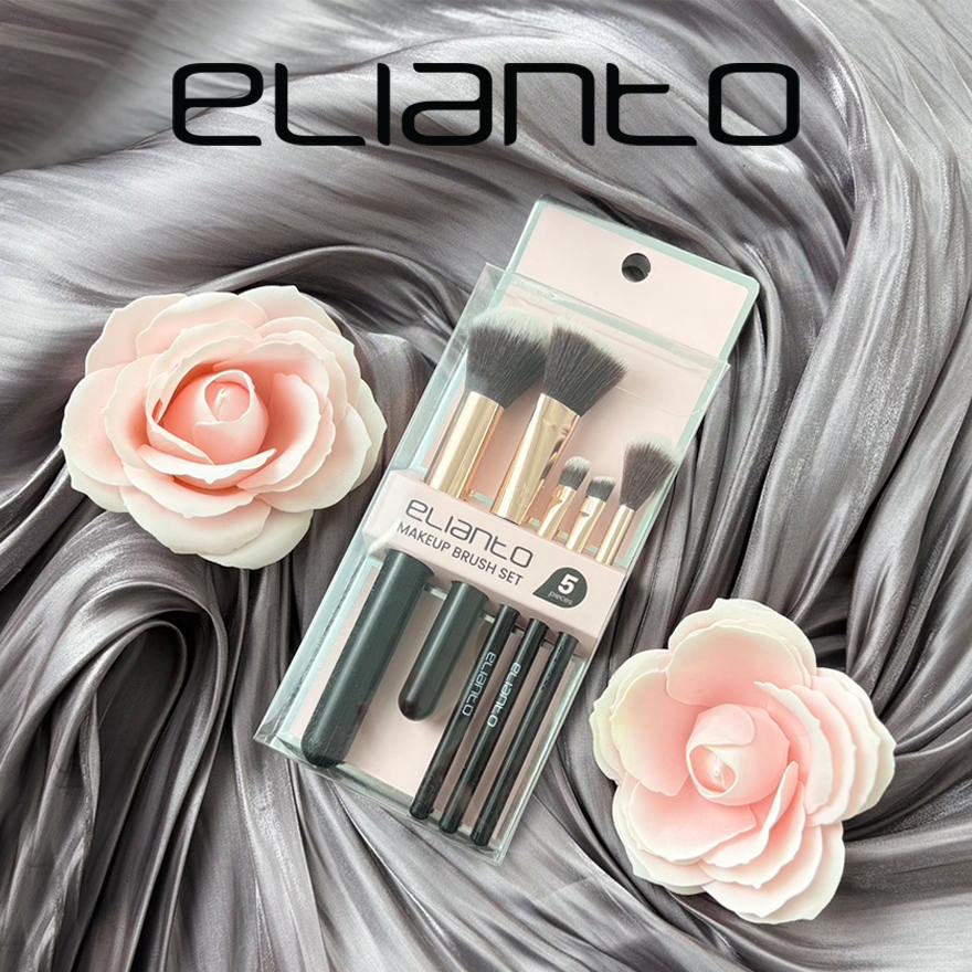 Elianto Makeup Brush set 5 in 1(travel brush set, eyeshadow brush, blusher brush)