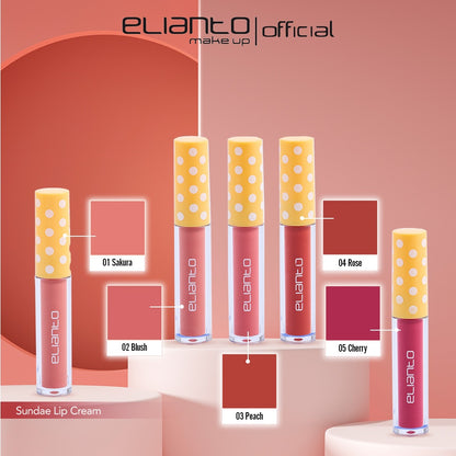 Elianto Buy 2 Lipstick Free Make Up Remover